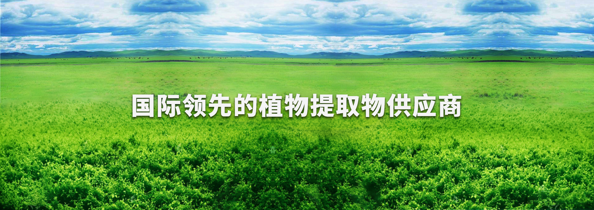 中国·350vip8888新葡的京(集团)有限公司-官方网站