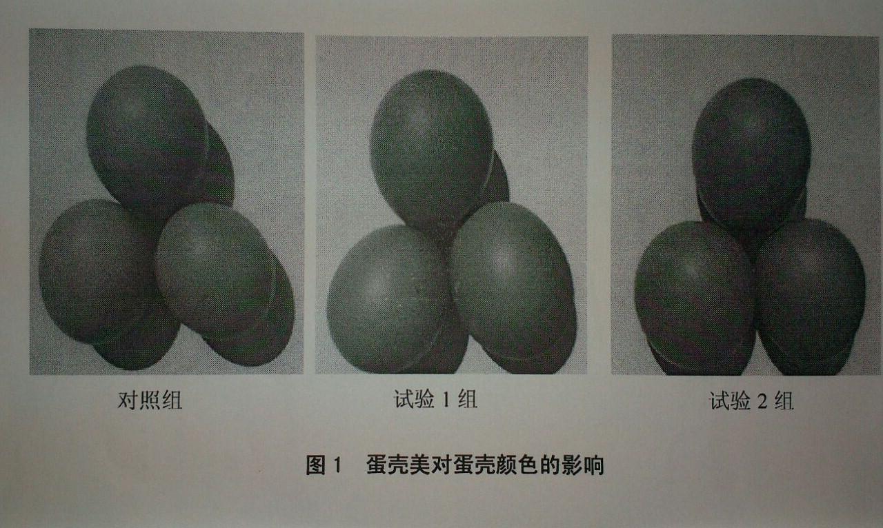 中国·350vip8888新葡的京(集团)有限公司-官方网站