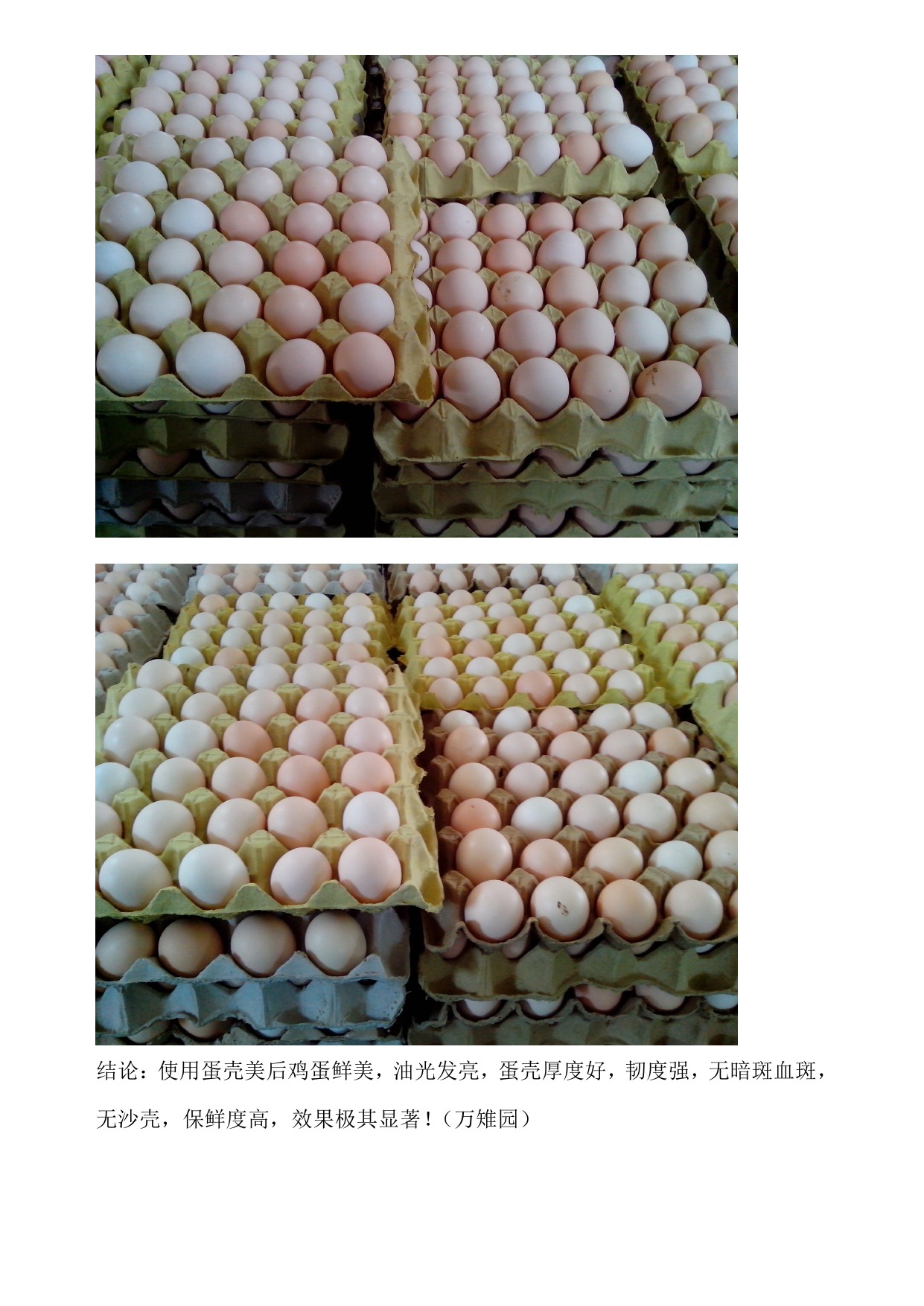 中国·350vip8888新葡的京(集团)有限公司-官方网站