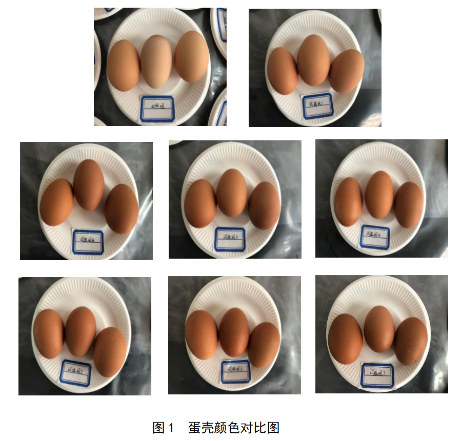 中国·350vip8888新葡的京(集团)有限公司-官方网站
