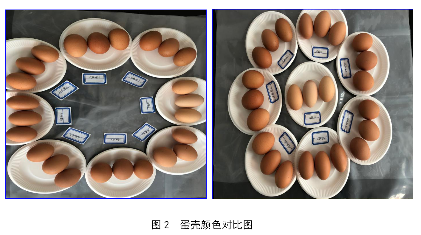 中国·350vip8888新葡的京(集团)有限公司-官方网站