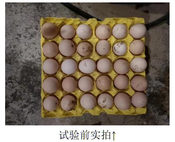 中国·350vip8888新葡的京(集团)有限公司-官方网站