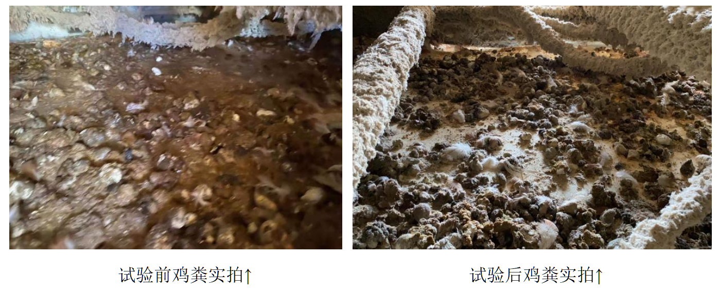 中国·350vip8888新葡的京(集团)有限公司-官方网站