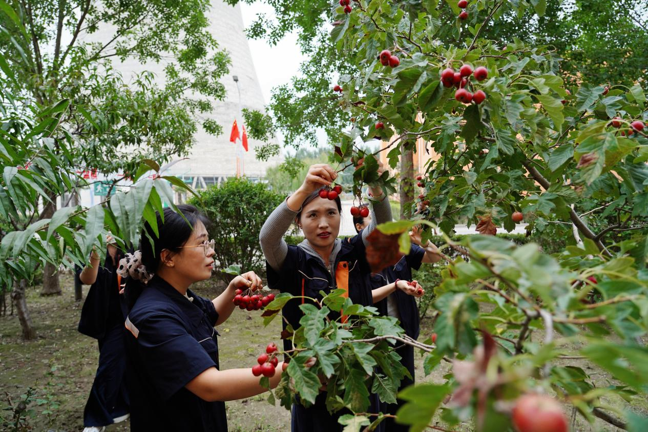 й350vip8888ϵľ()޹˾-ٷվ